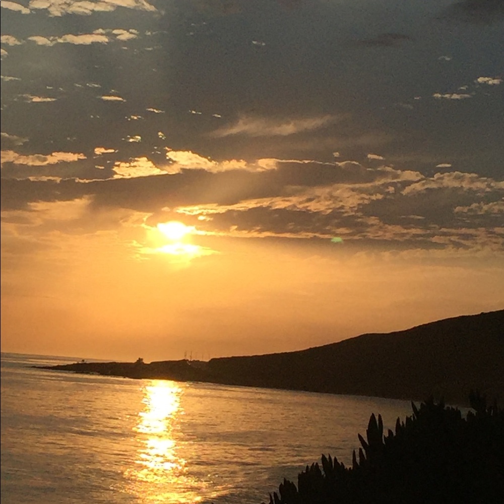 Meet your Posher, Audrey